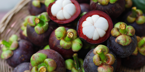 Mangosteen