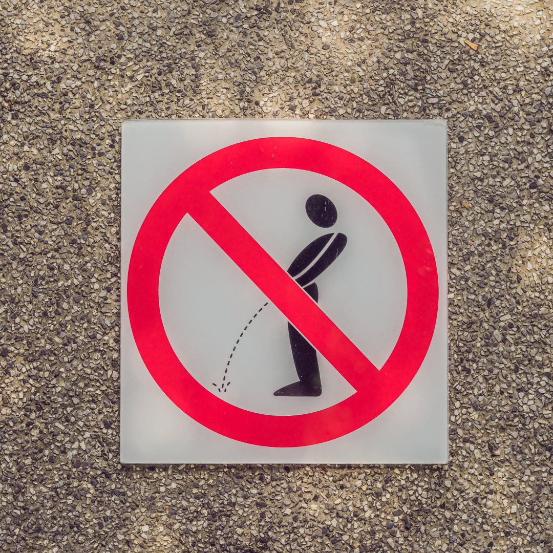 Hold pee before ultrasound, corporate wellness , ultrasound check